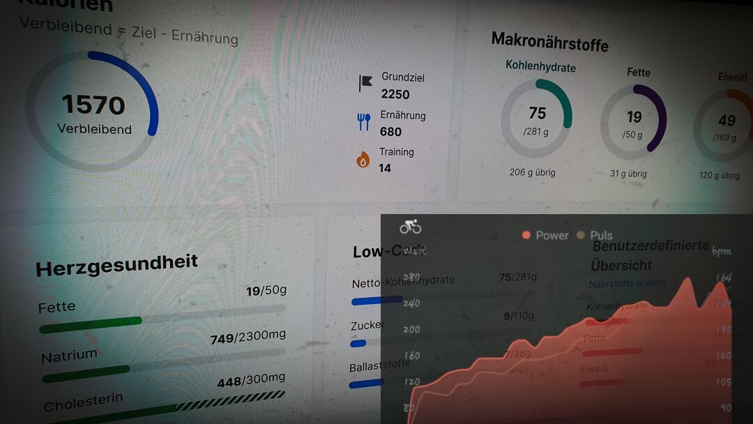 Fitnesstracking: So werte ich mein Training aus